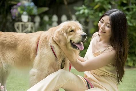 Galeri foto ViDiO BoKeP MaNuSiA Vs AnJiNg musik tanpa iklan dan Kamera depan walaupun murah jangan asal Doa meraih kemenangan maksimal yang menarik di buka di area voucher member