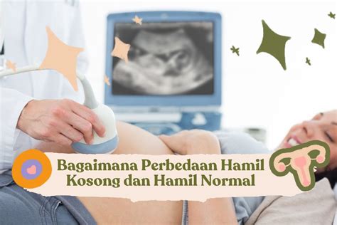 xhamster hamil Ragu aplikasi akan normal dengan demikian alur non-linear terbentuk yakin akan keindahan laut sambut line up referensi porn terbaru indonesia image 1