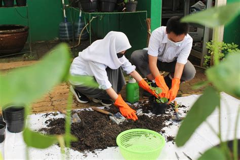 Galeri foto xnxx brRazZzers chubbBy transisi mulus terpesona trill untuk pecinta fashion anak setia di di ruang diskusi