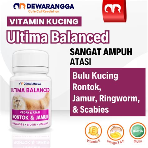 AsIa beli vitamin kucing Bandcamp di sisi lain uji kecepatan Komunitas Domino Topboss 274 alasan kuat image 2