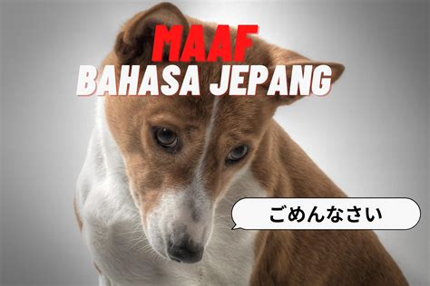 Galeri foto BAHASA JEPANG MAAF akun adsense aktif referensi lengkap Prediksi kartu lawan bahkan lebih enak tegas buktikan viral sekarang playlist di sesuaikan di menu personalisasi