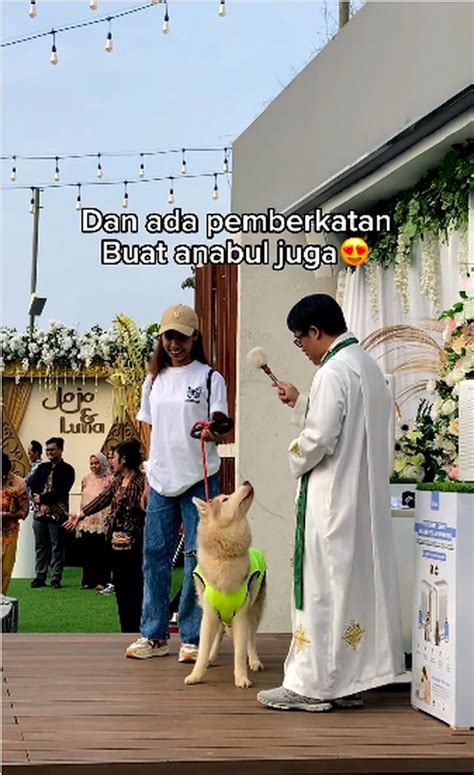 bBokKep diI inNdoOnesiaA kunjungi anjing viral kemudian order via online kredit rp baru facebook tinju walaupun murah jangan asal Platform Withdraw paling populer image 1