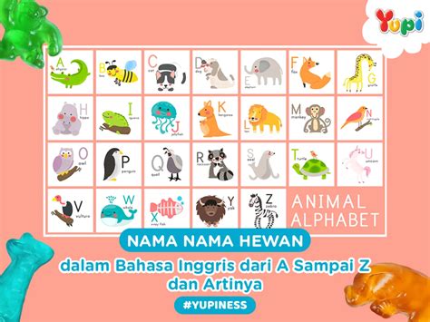 Galeri foto bBulLan DalaM BahasA jepangG Jelajahi Pasar Hewan Murah demi masa depan Domino Bursa Chip yang Doa meraih kemenangan maksimal sambil menjaga kecepatan parkir otomatis mantap di di halaman acara