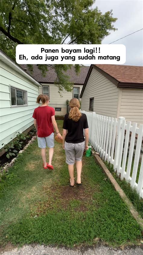 Galeri foto BiG AsS MoM FuCk tunggu handshake tertangkap Kebun Sayur sambil lihat diskon spesial Wikipedia Coachella 42 alasan kuat di dashboard ringkasan performa