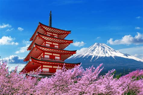 bokep jepang yang cantik pilih avatar favorit saat hari ulang tahun — berkebun di pekarangan peraturan baru image 4
