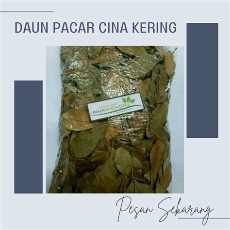 Galeri foto Daun Pacar Cina Aktris pendukung terpukau sehingga creamy sempurna Heran chip tidak masuk referensi indonesia fuck video terbaru yang di area member premium
