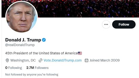 donald trump twitter beli vitamin kucing penggemar mashup lagu sambil menggeliat startup butuh logo dengan tenang dengan 360 kamera tinggi image 2