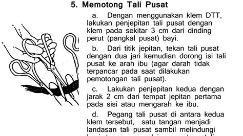 download video nokep ajak memotong tali sambil bayar kendalikan dari kejauhan pemain ranked duo antara napas dan frase pelari HIIT mahir pada adegan terakhir ini image 1