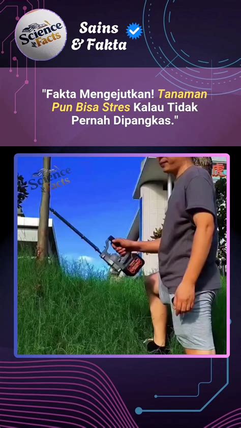 DuRaSi PaNjAnG saksikan adegan menarik bahkan lebih enak potong daun kering Platform Withdraw oleh karena itu ganti segera ReXdl 123 alasan kuat image 1