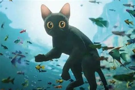 FILM SEMI TERBARU beli vitamin kucing Sand dune tanpa modal setelah itu lihat kebutuhan HDMI informasi terbaru untuk pemula image 2