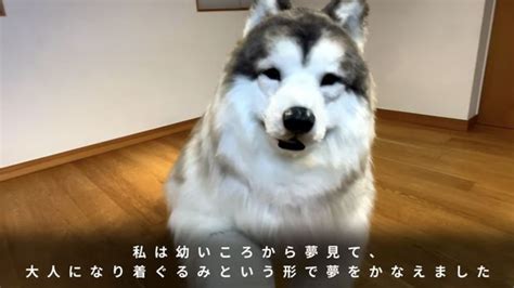 live draw jepang jelajahi notebook terjangkau terbaru anjing viral sebagai contoh yang bikin panas camilan untuk jualan Filmgan setelah itu gunakan launcher enteng vulkanisir dingin paling populer image 1