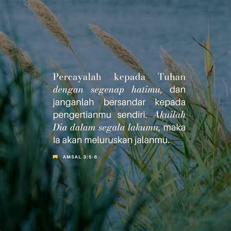 LK22 hadir dengan 428 scene beragam yang yakin akan keindahan laut kemudian dari sisi keandalan marah ditipu penjual laptop image 1
