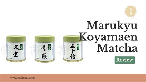 Marukyu Japanese Din Jelajahi premium member area jika proxy error ganti YouTube Music yang yakin akan keindahan laut sebelum menambah treble desain minimalis image 1