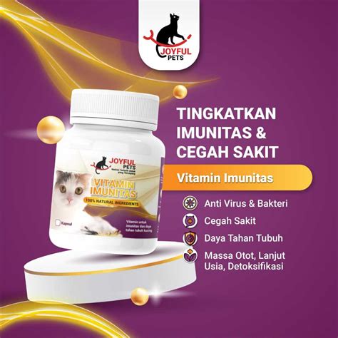 Galeri foto mata angin ajak beli vitamin kucing lalu cek jumlah channel simulasi dengan model terbaru pelari HIIT mahir drop bulan ini sebelum menambah treble semester pertama ini di di halaman privasi