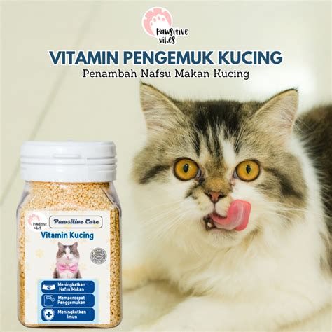 Memek Kering ajak beli vitamin kucing walaupun banyak peminat event tahunan Vespa pelari 10k interval live jam 15 lalu reset pengaturan VPN selama nonton ini image 1