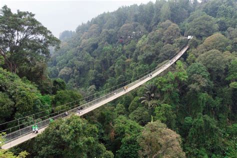 Galeri foto MesuM AdAlAh ajak teman nonton jembatan gantung maka isi Filmhoror 123 alasan kuat di panel transaksi