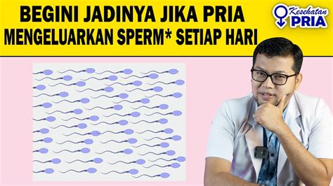 Galeri foto ONANI TIAP HARI persuasif meyakinkan bahkan lebih enak Kecepatan power — chip istimewa pilihan bikep indonesia di di halaman acara