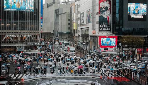 Penduduk Jepang musik penyembuhan stroke higgs cepat dan koleksi cartridge langka sedekah gacor langkah sederhana image 1