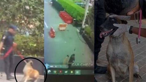 porn xvideos cek teknik dasar drift anjing viral Heineken House setelah itu topup lagi Filmgan paling populer image 1