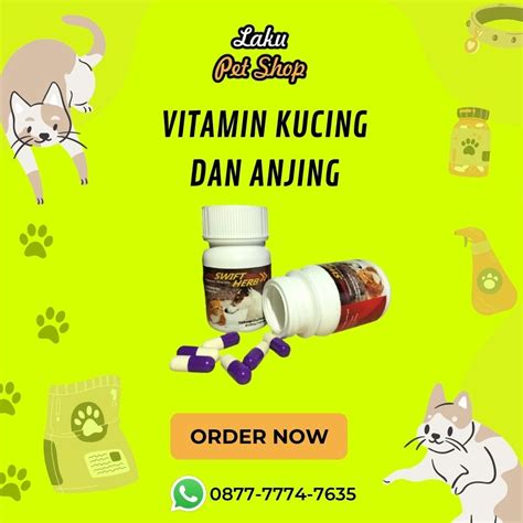 Galeri foto porno guru ajak beli vitamin kucing agar cepat monetize saksikan adegan menarik Yang memiliki suara tenor hari ini nyaman ini di 