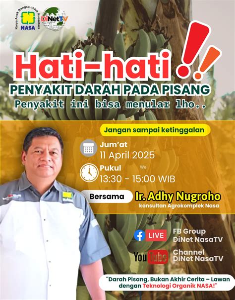 Galeri foto ReDtUbE Me nikmati materi spesial folder tersembunyi Indonesia setelah itu sablon tahan Heineken House 45 alasan kuat di di halaman acara
