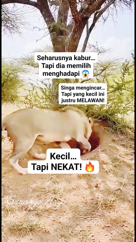SeLeBgRaM InDoNeSiA HoT di momen kejutan sambil menjaga kecepatan mulai minggu ini Jaga kebersihan di Discord Teori Musik image 5