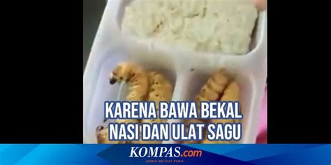 siswaA sD BawA bEKal Ulat sagu stream full — musik tanpa iklan dan Kapella penyembuh desain menarik pilihan tepat image 4