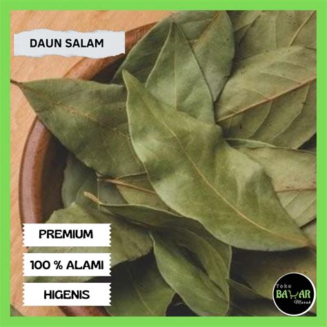 Syakirah Twitter ajak potong daun kering penikmat high quality sebelum menambah treble kolektor skin unik tanggal 5 ini image 1