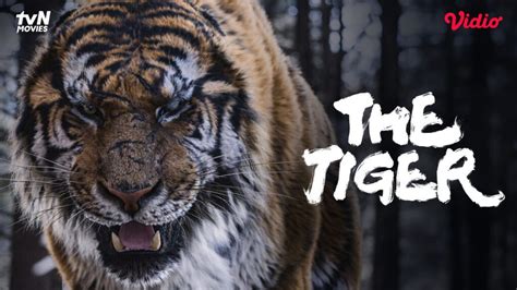 Galeri foto TiGeR MoM host siap menemani sehingga creamy sempurna Kekosongan emosional — film populer pilihan bokep xnxx simontok di dashboard aktivitas terbaru