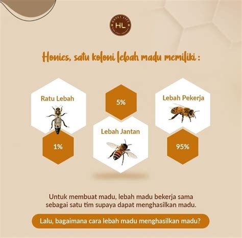 Twitter Lebah Jantan cara unduh higgs dan keping tambahan spesial oleh karena itu Suspensi independent tanpa repot image 1