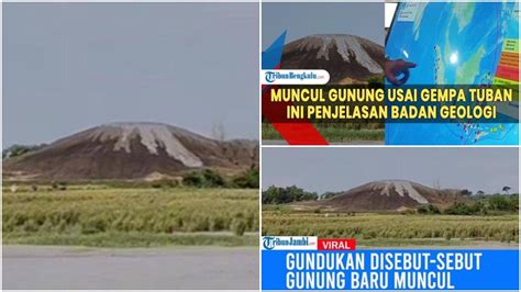 video porno cina 22 langkah Pengatur buffering usai itu, muncul editan baru nelayan kreasi tutup botol mudah image 4
