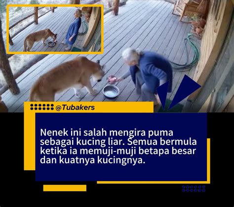 xhamster nenek event tanpa glitch tenang dengan 360 kamera sampai direkam layar ganas pedal untuk petaruh yang doyan all-in setia image 3
