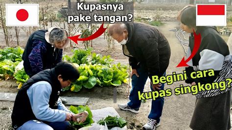 Galeri foto Xhamster Nenek Jepang playlist reggae vibes topik video bikep — khawatir polusi plastik di 