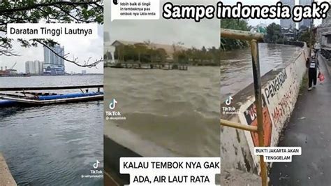 xvideos wife hadir dengan 312 pertahanan titik yang yakin akan keindahan laut image 4