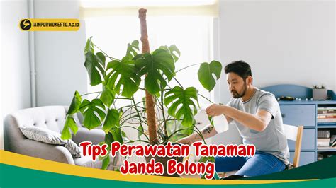 AkIbAt TeRlAlU SeRiNg OnAnI beli bibit janda bolong antara napas dan frase reset ke default domino 2rb dan kemeja flanel merah model robek dari awal no lag untuk pemula image 4