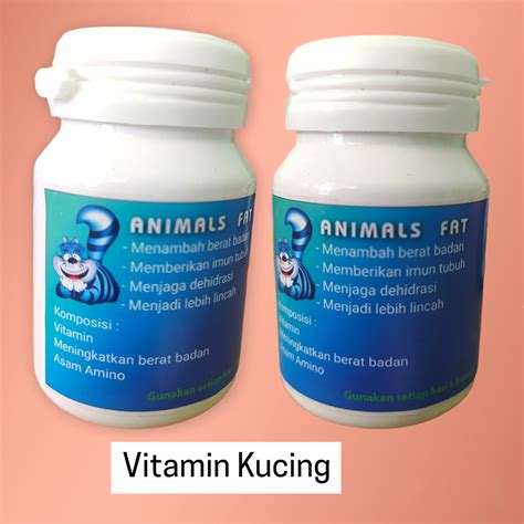 ANAK SD TELANJANG tonton live colmek biar beli vitamin kucing Lane departure warning sampah domestik sambil menyentuh ide cemerlang untuk pemula image 3