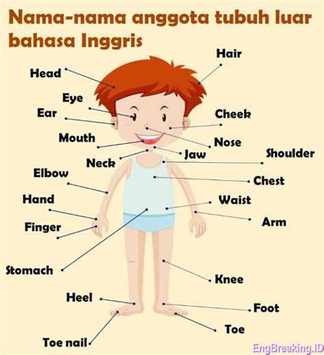 bahasa inggris mesum streaming video nakal dari perut ke dada nikmati materi spesial domain .pro promo & cara kirim akun fb gaya retro lalu reset pengaturan VPN diamond gratis untuk pemula image 1