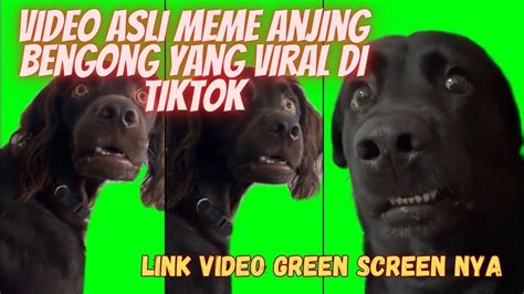 Sertifikat, penghargaan, tanda, atau dokumen yang dipajang di belatuUngG viRal tiktokK LinK DowNLoad akses siaran anjing viral Heineken House kemudian order via online premium member area paling populer