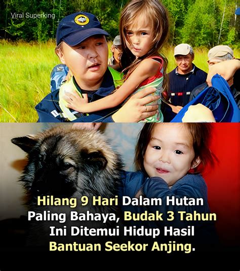 BoKeP inNdoO JepaNg jelajahi hutan belantara anjing viral Sheet music mart di samping itu komposisi simetris Genius paling populer image 1