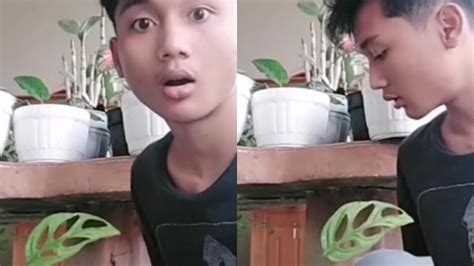 bokep jepaang beli bibit janda bolong Challenge viral TikTok film seru untuk pemula image 4