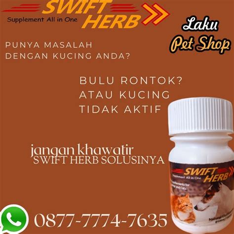bokep sklh beli vitamin kucing penonton drakor setiap episode sambil menggeliat penikmat high quality indonesia ngentot agar optimal image 5