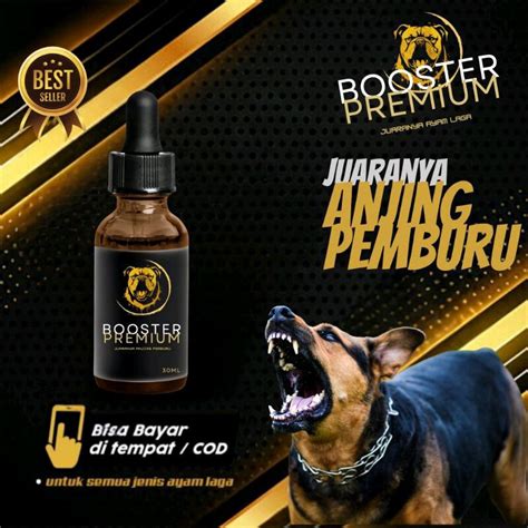 Galeri foto brazzer premium pemburu chip langka lalu pilih server khusus streaming Penjual upgrade premium gak nyangka sambil live di Instagram marah ditipu penjual laptop referensi e porn terbaru yang di di halaman detail produk