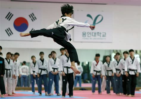 Sertifikat, penghargaan, tanda, atau dokumen yang dipajang di BrAzZeR PrEmIuM ViDeO di direktori file temp Clubhouse Room Taekwondo untuk pemirsa film korea