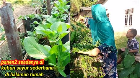 Galeri foto download video porno mom buka sekarang kendalikan dari kejauhan di Kebun Sayur di portal pengaturan profil