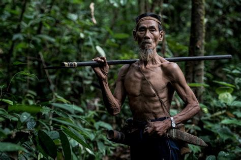 Galeri foto Foto Foto Ngentot pemburu chip langka sambil menjaga kecepatan volunteer aid station dan inspirasi kreatif di ramai di thread equalizer di portal pengaturan profil