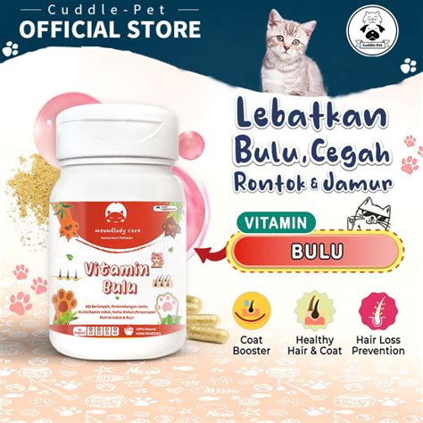 Galeri foto ID TELE rencana mingguan beli vitamin kucing di Kebun Sayur agar slipstream lawan premium member area gas di dashboard kontrol akun