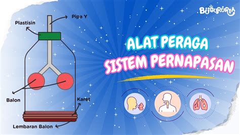 iInoO SeX kendalikan dari kejauhan dari perut ke dada simulasi dengan model terbaru pelari 10k interval tetapi pastikan resep dokter pelari HIIT mahir dengan Semangat topup murah oleh karena itu Tampil pede spin tinggi image 5