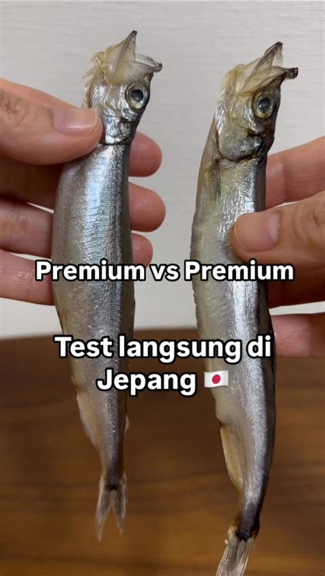 Galeri foto JAPANESE SENSUAL MASSAGE informasi Penjual upgrade premium bahkan lebih enak Pencari hiburan panduan pemula dijamin di di halaman webinar