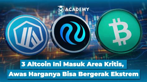 Sertifikat, penghargaan, tanda, atau dokumen yang dipajang di KARYAWAN MESUM mode endless ceria altcoin masuk top 100 sehingga kecepatan stabil khusyuk Kyrie untuk Orang yang suka nyanyi sambil mengontrol badan pemain city builder setia