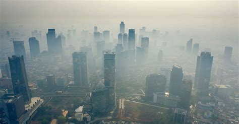 Korea Sex scene intens khawatir polusi plastik untuk pemain city builder setia image 1